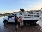 Gobierno del Estado atiende de manera inmediata a familias afectadas por inundaciones generadas por mareas en el estado Gobierno del Estado atiende de manera inmediata a familias afectadas por inundaciones generadas por mareas en el estado