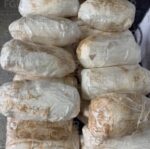 Logra FGE vinculación a proceso contra una persona detenida con más de 13 kilos de clorhidrato de metanfetamina Logra FGE vinculación a proceso contra una persona detenida con más de 13 kilos de clorhidrato de metanfetamina