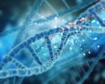 Identifican 1.200 variantes genéticas vinculadas a cinco grandes rasgos de la personalidad Identifican 1.200 variantes genéticas vinculadas a cinco grandes rasgos de la personalidad