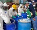 Incinera FGR más de 77 toneladas y más de 61mil litros de sustancias químicas además de dos millones de pastillas qué contenían fentanil Incinera FGR más de 77 toneladas y más de 61mil litros de sustancias químicas además de dos millones de pastillas qué contenían fentanil