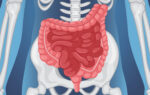 Azúcar y antibióticos: así afectan al microbioma intestinal Azúcar y antibióticos: así afectan al microbioma intestinal