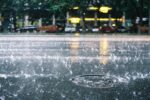 ¿Qué estados tendrán lluvias fuertes este viernes? ¿Qué estados tendrán lluvias fuertes este viernes?