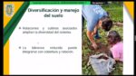 Especialista advierte colapso de producción de alimentos si no se frena la degradación recursos naturales Especialista advierte colapso de producción de alimentos si no se frena la degradación recursos naturales
