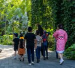 Jardín Botánico Culiacán invita a sus recorridos nocturnos de Halloween Jardín Botánico Culiacán invita a sus recorridos nocturnos de Halloween