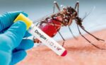 700 casos de Dengue han sido confirmados en Sinaloa en lo que va del año, Mocorito es el municipio más afectado 700 casos de Dengue han sido confirmados en Sinaloa en lo que va del año, Mocorito es el municipio más afectado